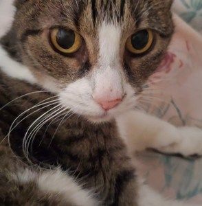 Meet your Posher, Lourdes